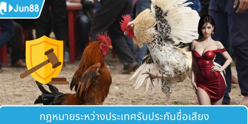ภาพรวมของ AOG ไก่ชน
