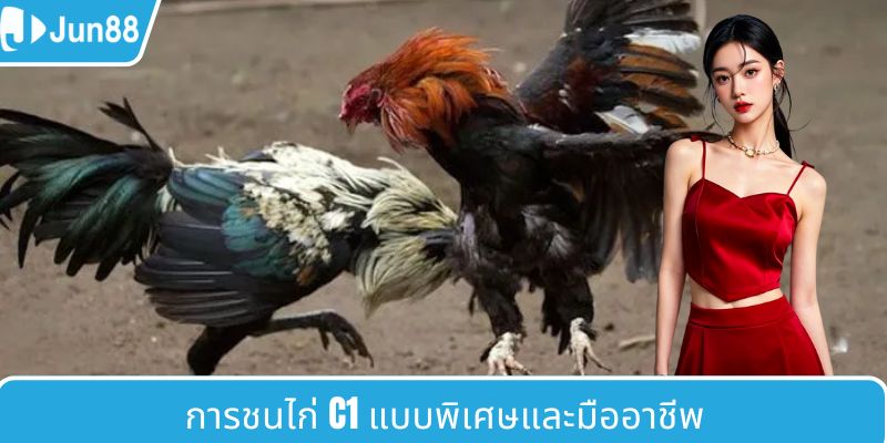 เส้นทางการเติบโตของ SV388 ไก่ชน